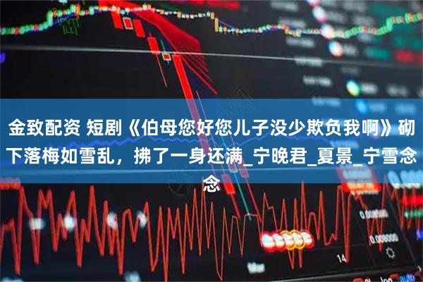 金致配资 短剧《伯母您好您儿子没少欺负我啊》砌下落梅如雪乱，拂了一身还满_宁晚君_夏景_宁雪念